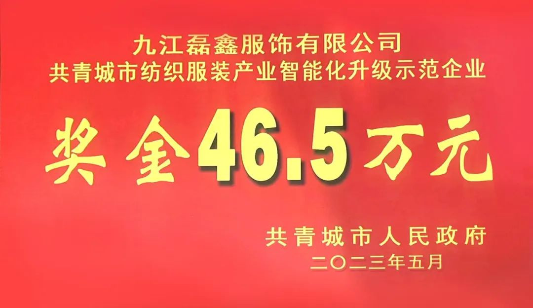 客戶(hù)新聞 | 磊鑫服飾榮獲紡織服裝產(chǎn)業(yè)智能化升級(jí)示范企業(yè)！
